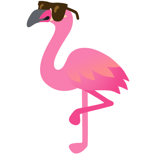 sunglasses flamingo