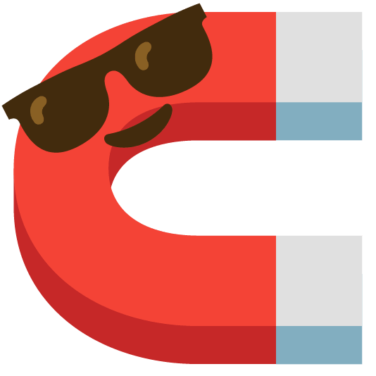 sunglasses magnet