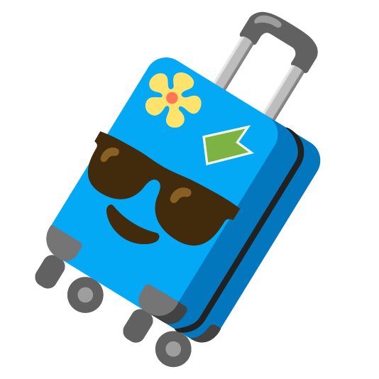 sunglasses luggage