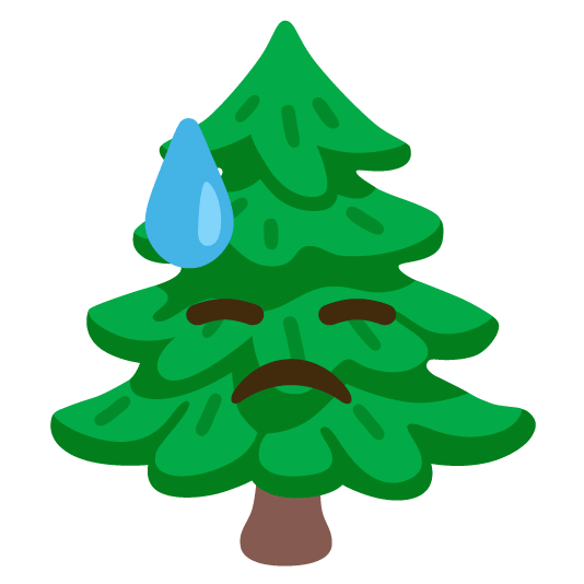 sweat evergreen tree