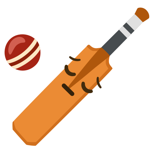 pensive cricket bat and ball