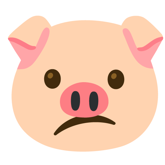 confused pig