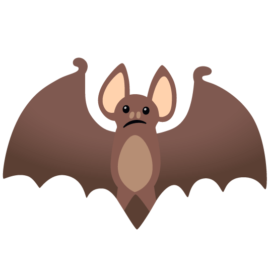 confused bat