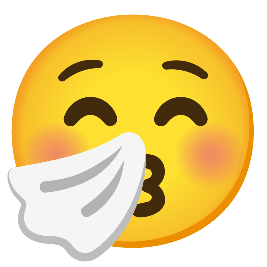 kissing closed eyes sneezing face