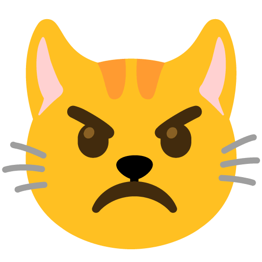 angry cat