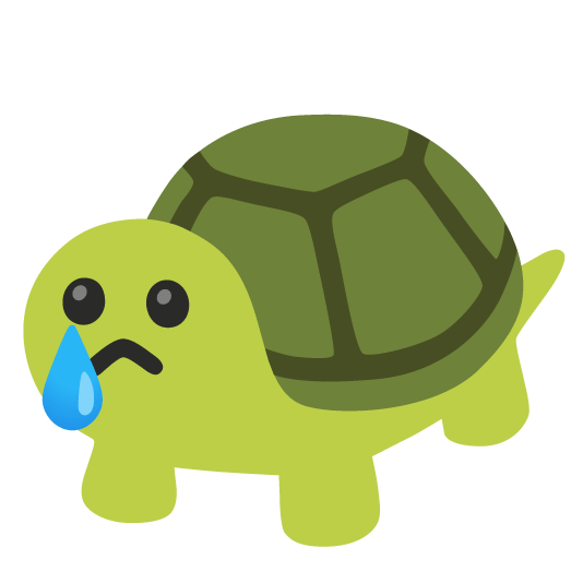 cry turtle