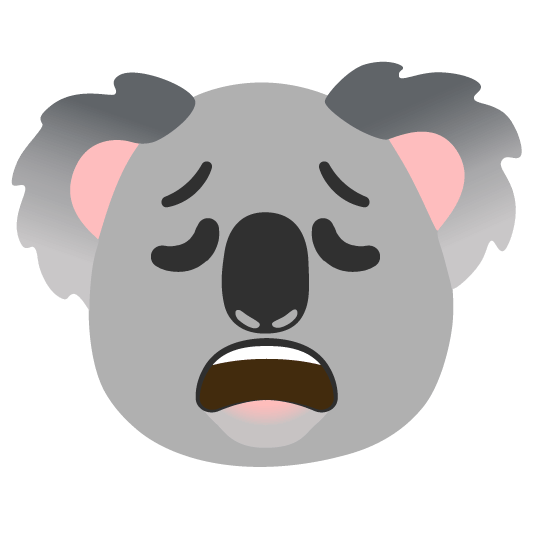 weary koala