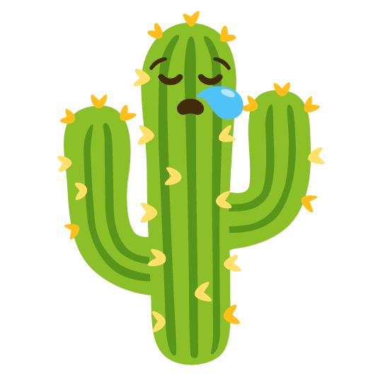 sleepy cactus