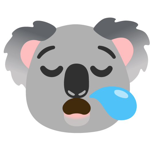 sleepy koala