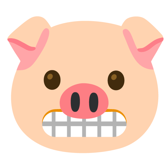 grimacing pig