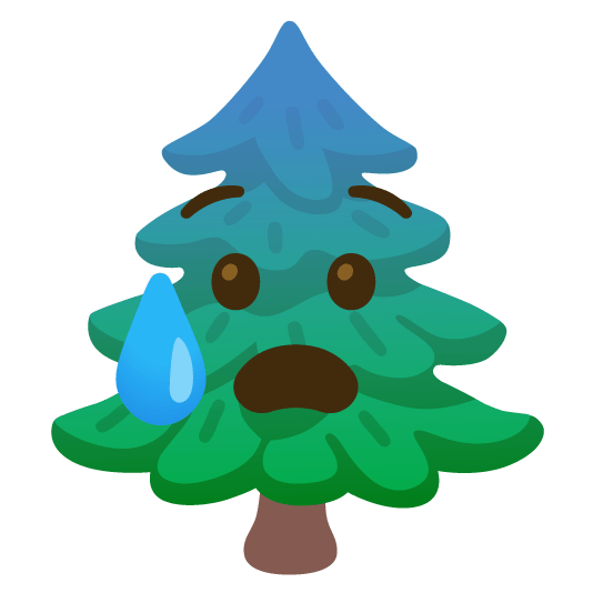 cold sweat evergreen tree