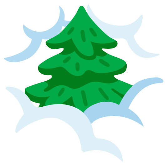 face in clouds evergreen tree