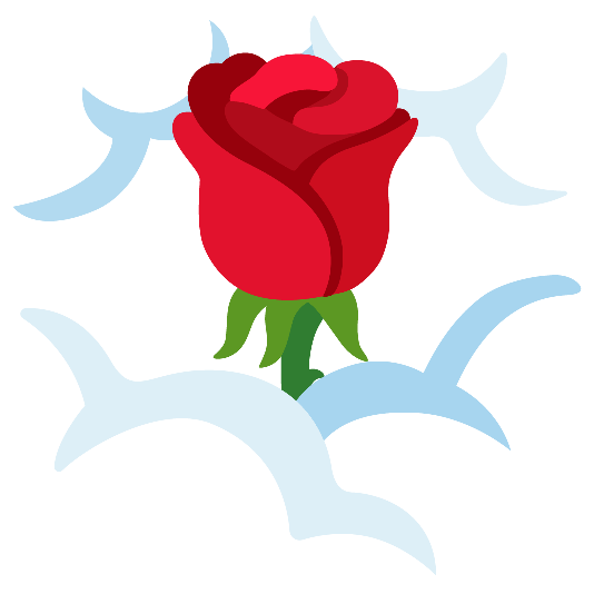 face in clouds rose