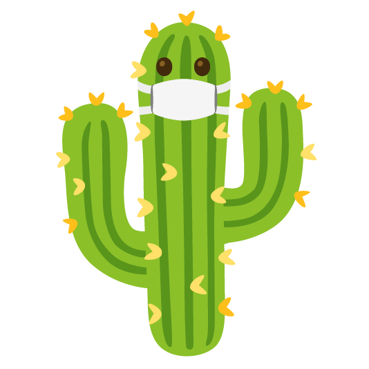 mask cactus