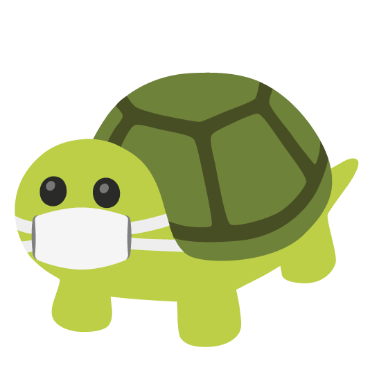 mask turtle