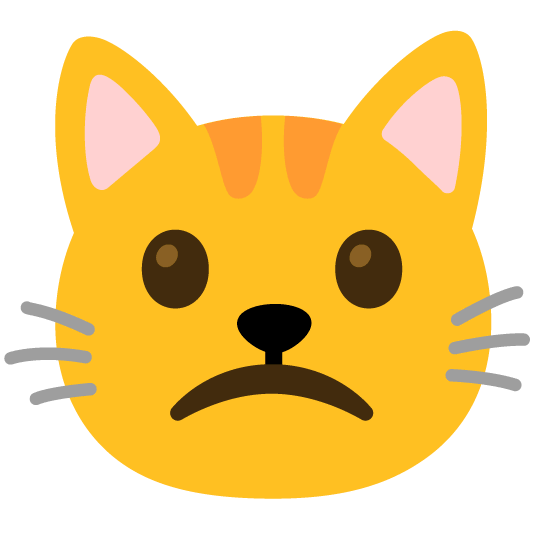 slightly frowning face cat
