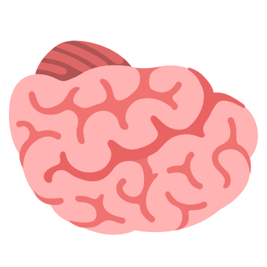 upside down face brain