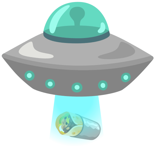 flying saucer burrito