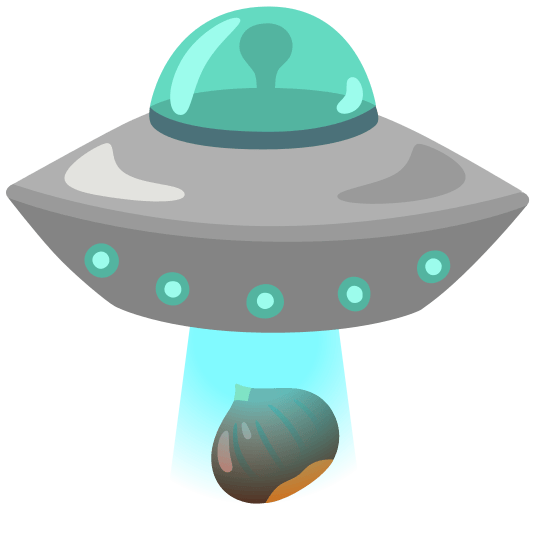 flying saucer chestnut