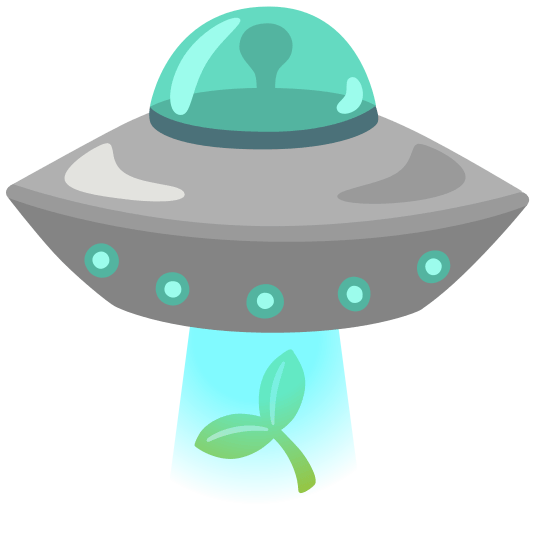 flying saucer seedling