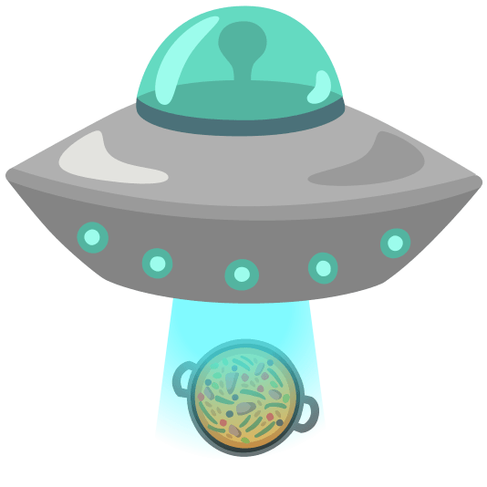 flying saucer shallow pan of food