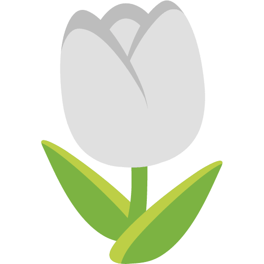 white heart tulip