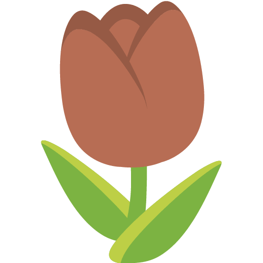 brown heart tulip