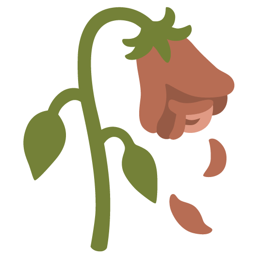 brown heart wilted flower