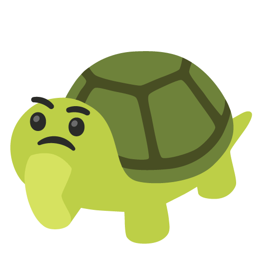 thinking face turtle