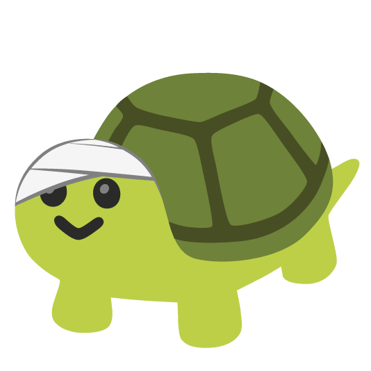 face with head bandage turtle
