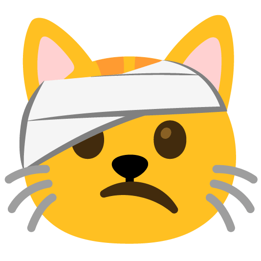 face with head bandage cat