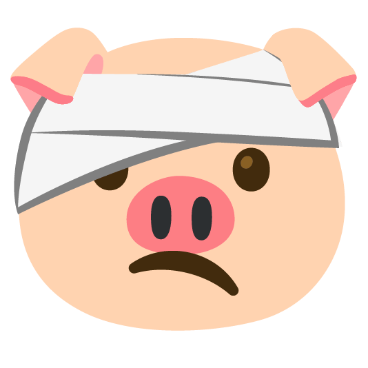face with head bandage pig