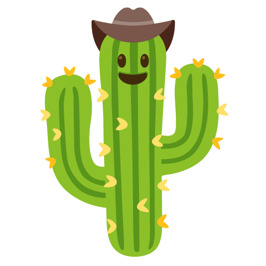 face with cowboy hat cactus