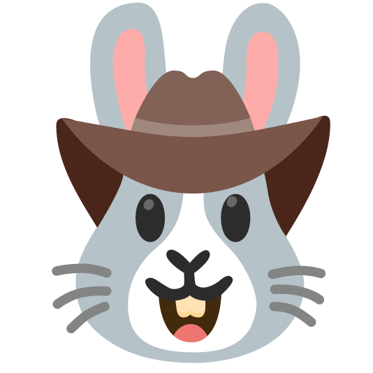 face with cowboy hat rabbit