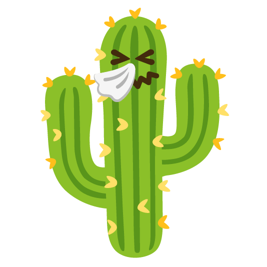 sneezing face cactus