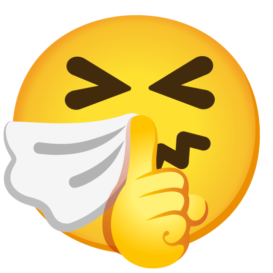 shushing face sneezing face