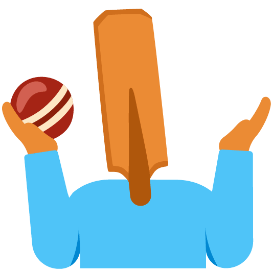 shrug cricket bat and ball