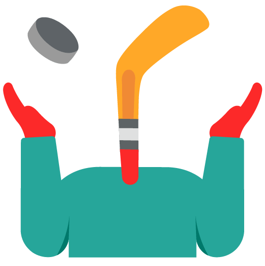 shrug ice hockey stick and puck