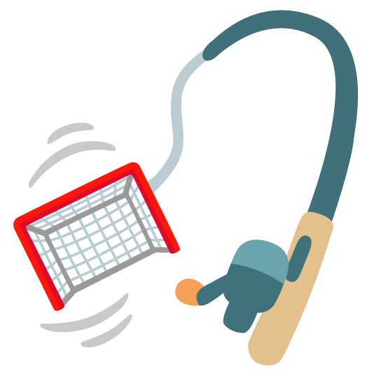 goal net fishing pole and fish