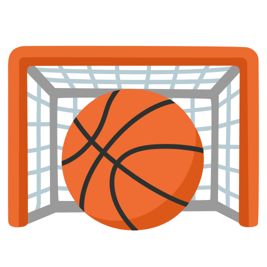 goal net basketball