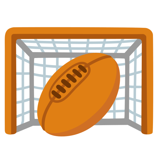 goal net rugby football