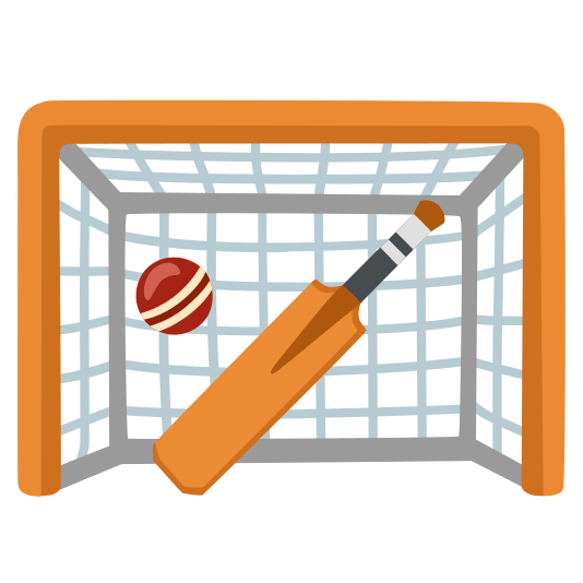 goal net cricket bat and ball