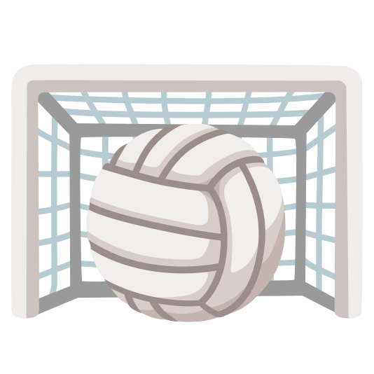 goal net volleyball