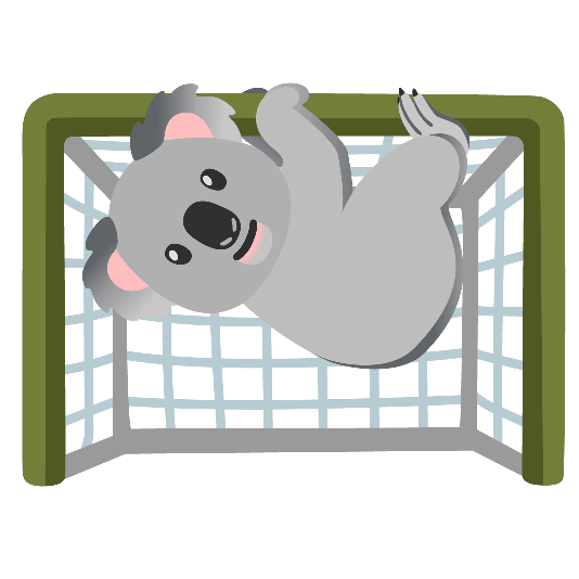 goal net koala
