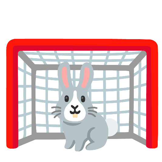 goal net rabbit
