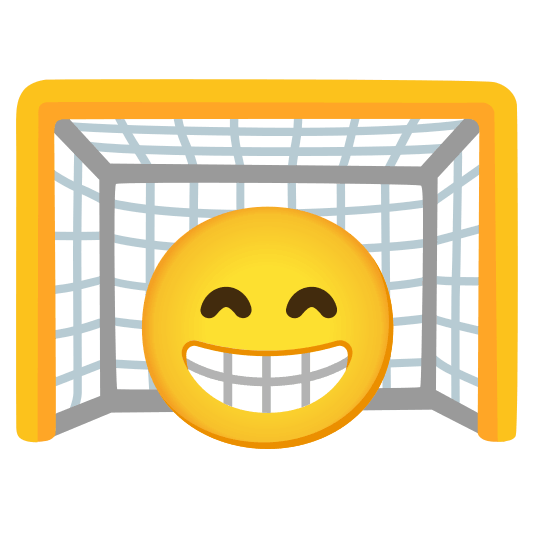 goal net grin