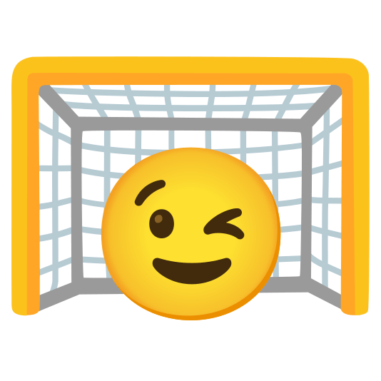 goal net wink