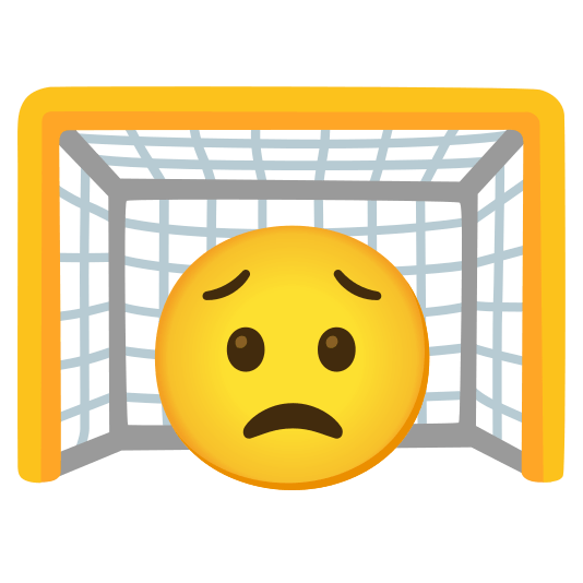 goal net worried