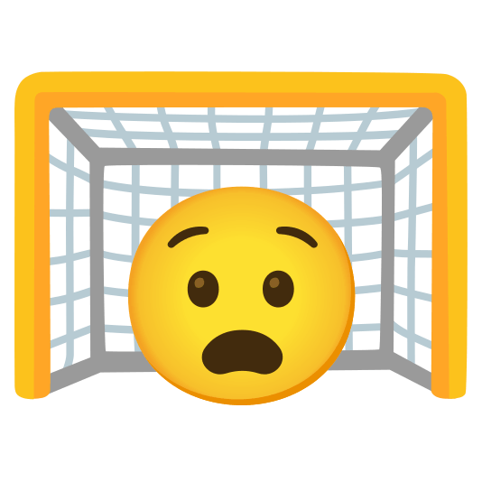 goal net anguished