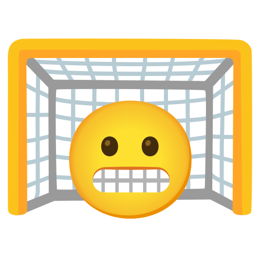 goal net grimacing